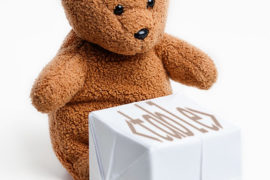 bear at a table
